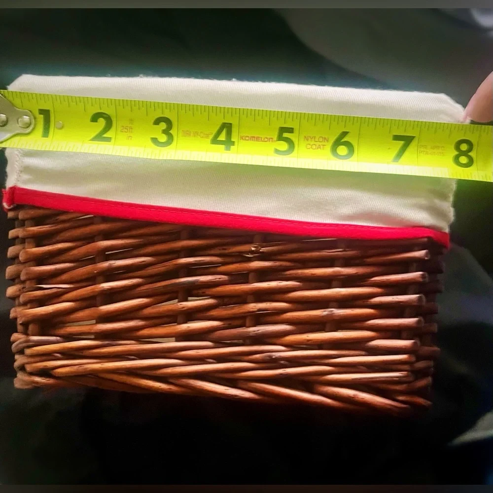 Cost Plus World Market charming wicker